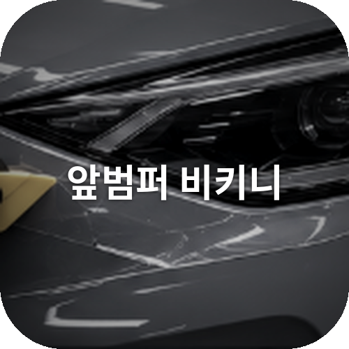앞 범퍼 비키니